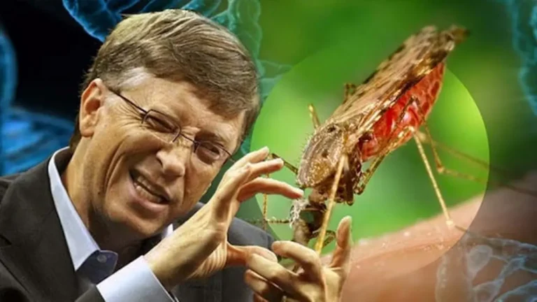 Billionaire Bill Gates’ Deadly Bioengineered Mosquitoes: Are They Behind the Sudden Malaria Outbreak?