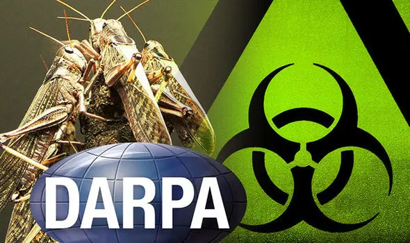 From Scorpion Bombs to DARPA’s Secret Plans: Unravel the Chilling Connection Between Insect Warfare and Meat Allergies!
