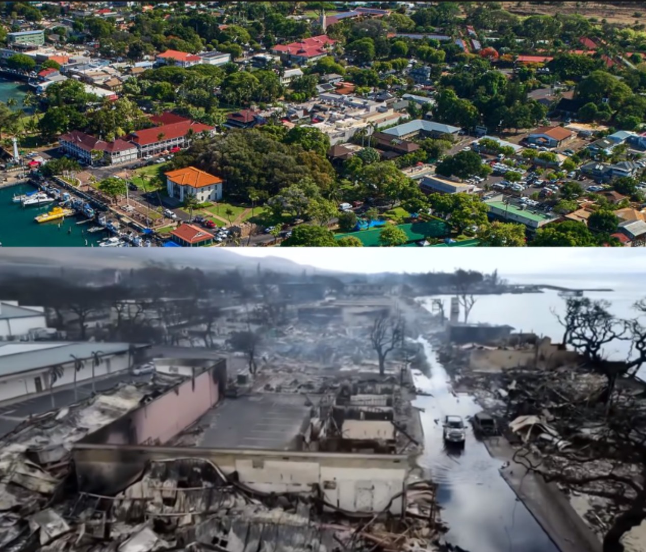 Maui Blaze 2023: Uncovering the Hidden Truths Behind Hawaii's Tragic