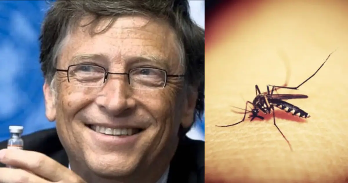 Bombshell! Genetically Modified Mosquitoes Engineered by Bill Gates Now Spreading Malaria in America!