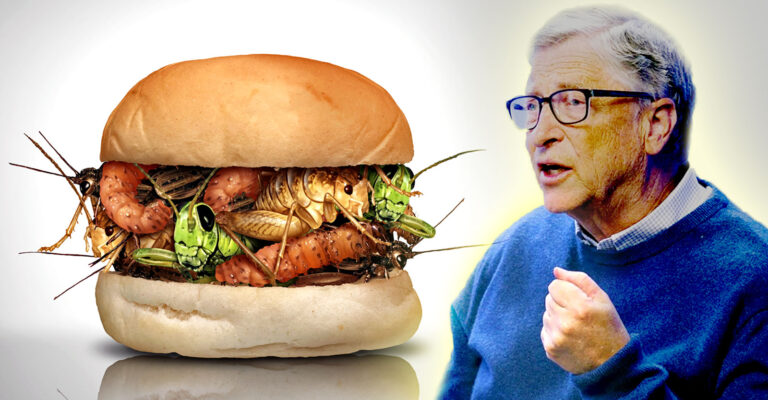 ALERT! Bill Gates and DARPA Are Forcing Americans to Eat Insects—Soon It Will Be Our Only Choice!