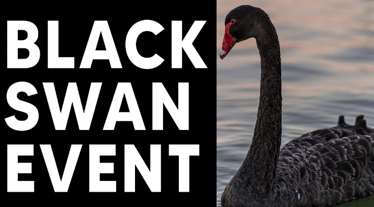 Black Swan Event! The World’s Most Powerful Families Are Crafting Global Chaos – Trump Is Leading the Fight Against a Globalist Cabal!