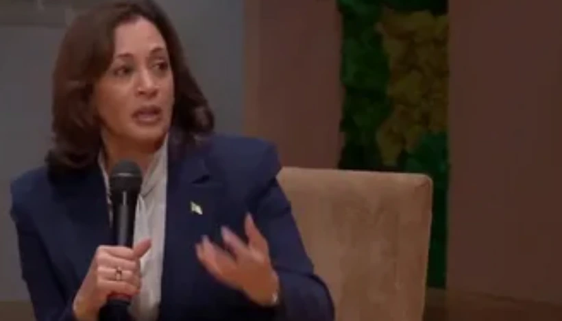 Steering into the Storm: Kamala Harris and the Threat of a New Economic Cataclysm