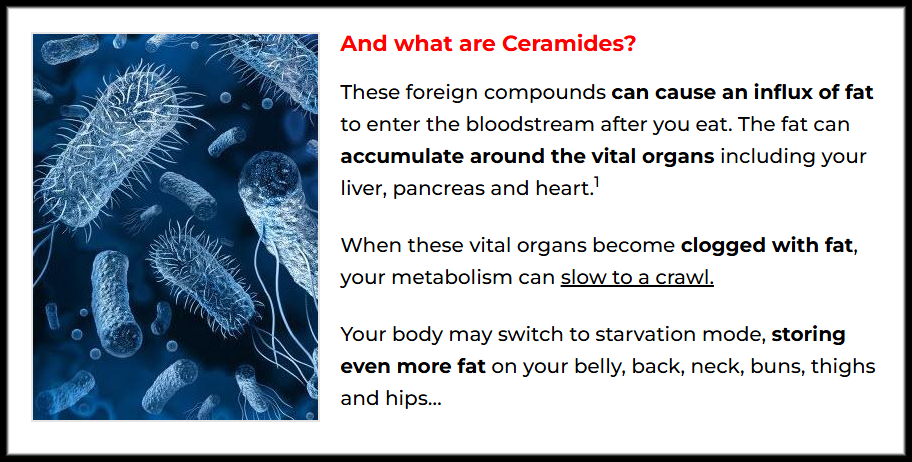 YOUR BLOOD IS POISONED: Ceramides Are the Real Cause of Cancer, Obesity, and Metabolic Failure—And They’ve Been Putting Them in Your Food on Purpose!