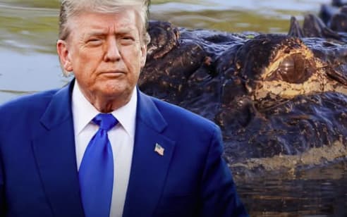 LIVE NOW! Trump Just Opened the Most Savage Illegal Immigrant Prison in U.S. History – “Alligator Alcatraz” Uses Gators, Pythons, and the Florida Swamp to Trap, Isolate, and Deport Criminal Invaders with ZERO Chance of Escape!